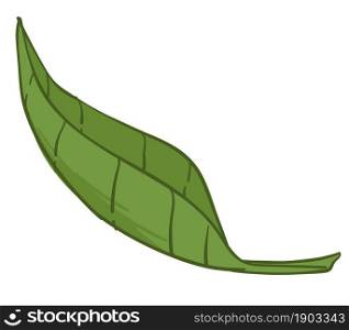 Falling green leaf, isolated icon of nature and natural elements. Seasonal flora of summer or spring. Botany shrubs or bushes, plants or trees. Ecology logo or symbol sign. Vector in flat style. Green foliage of flora, spring or summer revival