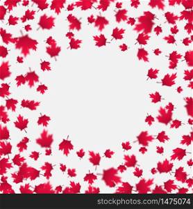 Falling red maple leaves background. Canada Day, July 1st celebration concept. Flying autumn foliage isolated on a gray backdrop. Modern style horizontal vector illustration.. Falling red maple leaves background. Canada Day, July 1st celebration concept. Flying autumn foliage.