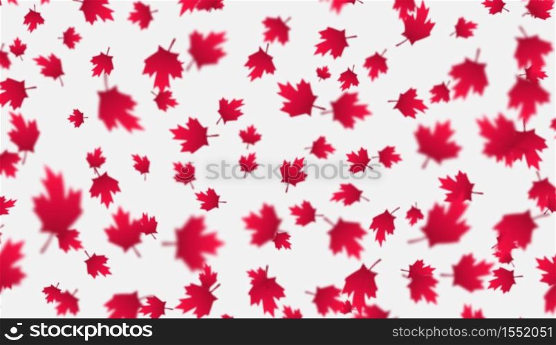 Falling red maple leaves background. Canada Day, July 1st celebration concept. Flying autumn foliage isolated on a gray backdrop. Modern style vector illustration for banners, posters, flyers, etc.. Falling red maple leaves background. Canada Day, July 1st celebration concept. Flying autumn foliage.