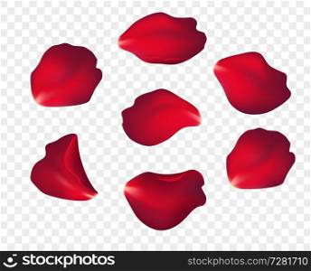 Falling red rose petals isolated on white background. Vector illustration EPS10. Falling red rose petals isolated on white background. Vector illustration
