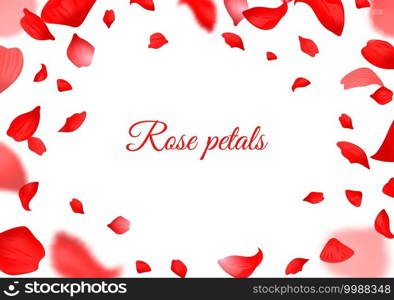 Falling red rose petals. Realistic flying petal, romantic botanical frame for valentines day and wedding decor, blurred floral decorative element style smooth vector border horizontal poster or flyer. Falling red rose petals. Realistic flying petal, botanical frame for valentines day and wedding decor, blurred floral decorative element style smooth vector border horizontal poster