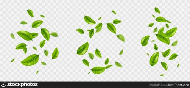 Falling tea leaves, realistic green foliage flying in air isolated on transparent background. Floral organic elements for products packaging design, advertising, promo, 3d vector illustration, set. Falling tea leaves, realistic green foliage flying