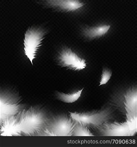 Falling white fluffy feathers on air isolated on black background. Easy symbol concept vector illustration. Feather falling and realistic smooth plume flying. Falling white fluffy feathers on air isolated on black background. Easy symbol concept vector illustration