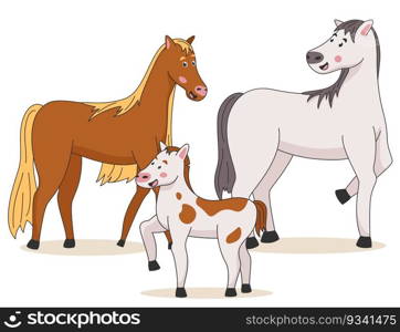 Family of horses stands on a white background. Vector illustration with horses and foal in cartoon style.. Family of horses stands on a white background.
