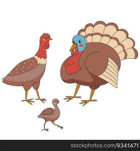 Family of turkeys stands on a white background. Vector illustration with turkeys in cartoon style.. Family of turkeys stands on a white background