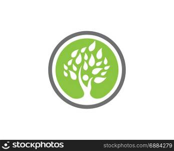 family tree logo design template. family tree symbol icon logo design template