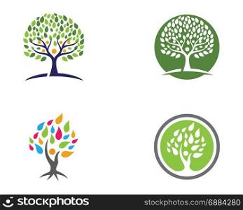 family tree logo design template. family tree symbol icon logo design template