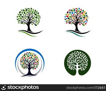 family tree logo template vector illustration