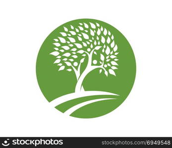 family tree logo template vector illustration