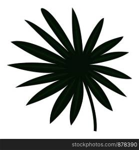 Fan palm icon. Cartoon of fan palm vector icon for web design isolated on white background. Fan palm icon, cartoon style