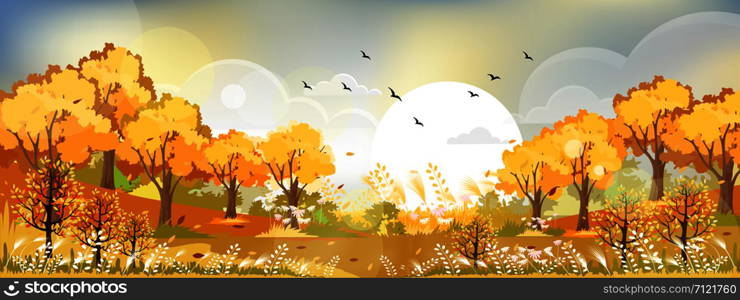 Fantasy panorama landscapes of Countryside in autumn,Panoramic of mid autumn with farm field, mountains, wild grass and leaves falling from trees in orange foliage.