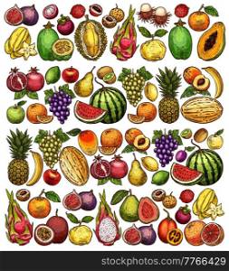 Farm and garden fruits sketch background, vector hand drawn food. Sketch apple, pineapple and orange, tropical papaya, exotic banana, mango and pear, peach with watermelon, grape and melon harvest. Farm and garden fruits sketch food background