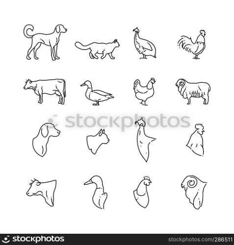 Farm animal and birds thin line icons. Farm pig and bird, rabbit and cow, vector illustration. Farm animal and birds thin line icons