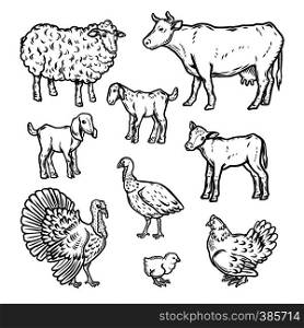 Farm animals detailed icon set. Outline nand drawn illustration of 9 farm animals detailed vector icons for web. Farm animals detailed icon set, outline style