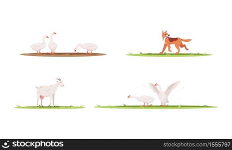 Farm animals semi flat vector illustration set. Geese on ranch. Dog playing outside. Goat to produce milk. Domestic pet for farmland 2D cartoon characters collection for commercial use. Farm animals semi flat vector illustration set