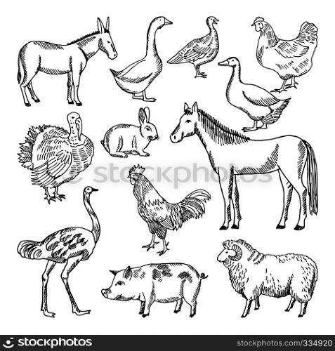 Farm animals set in hand drawn style. Vector illustrations. Animal farm sketch goose and lamb, hog and horse. Farm animals set in hand drawn style. Vector illustrations