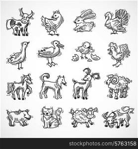 Farm animals sketch set with hog donkey cow goat isolated vector illustration