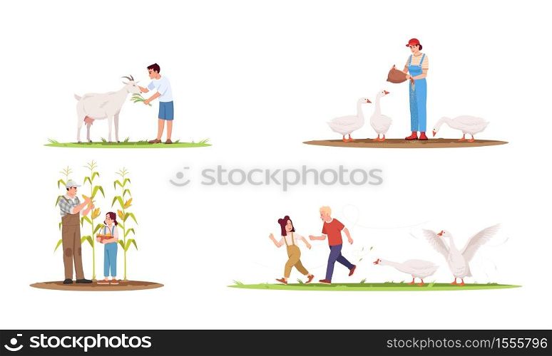 Farm animals with owners semi flat vector illustration set. Geese on ranch with kids. Family collect corn crop. Boy feeding goat. Ranch 2D cartoon characters collection for commercial use. Farm animals with owners semi flat vector illustration set