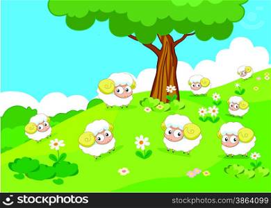 Farm animals with sheeps