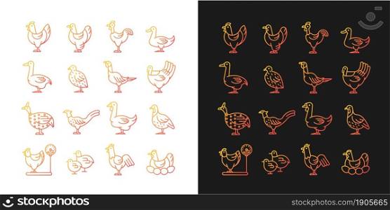 Farm birds for poultry gradient icons set for dark and light mode. Domestic fowl husbandry. Thin line contour symbols bundle. Isolated vector outline illustrations collection on black and white. Farm birds for poultry gradient icons set for dark and light mode