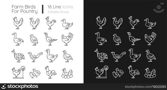 Farm birds for poultry linear icons set for dark and light mode. Domestic birds. Ducks and geese husbandry. Customizable thin line symbols. Isolated vector outline illustrations. Editable stroke. Farm birds for poultry linear icons set for dark and light mode