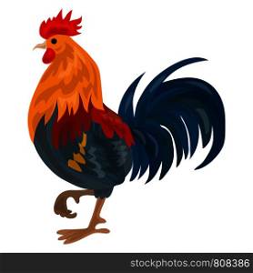 Farm cock icon. Cartoon of farm cock vector icon for web design isolated on white background. Farm cock icon, cartoon style