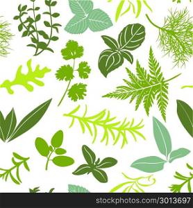 Farm fresh culinary herbs on white seamless pattern vector. Salad mix cooking seasonings. basil, icon, rosemary, mint. arugula, sage, chives, thyme, parsley oregano For wrappping decoration. Farm fresh culinary herbs on white seamless pattern vector. Salad mix cooking seasonings.