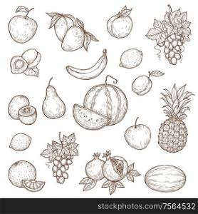 Farm, garden and tropical fruits vector sketches. Isolated ripe apple, banana, pomegranate or garnet, plum and kiwi, peach and lemon, mango and watermelon, orange, pear and grape, pineapple objects. Tropical farm and garden fruits, vector sketch