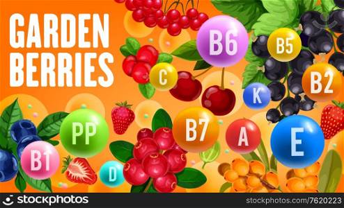 Farm garden berry harvest of cherry, black currant or redcurrant and strawberry. Vector vitamins and minerals in organic blueberry, sea buckthorn or rowanberry and forest cranberry berries. Healthy vitamins in organic garden berry fruits