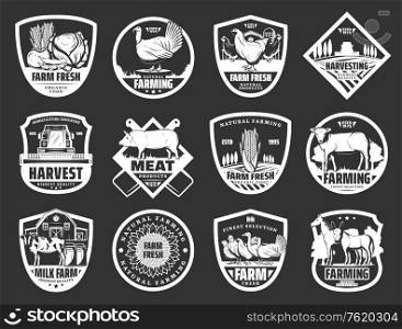 Farm icons and farming food production company signs. Vector cattle farm cow and horse animals, poultry birds, organic vegetables and fruits harvest, farm meat and natural dairy food. Farm dairy and cattle meat or fowl products icons