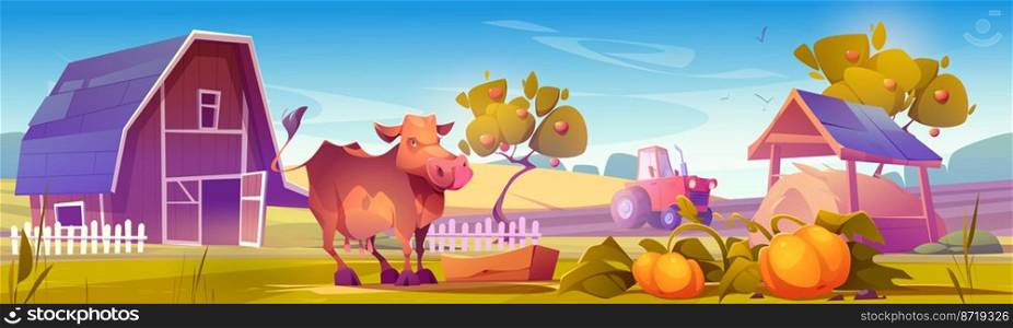 Farm landscape with cow gaze near wooden barn, tractor plow field, hay, ripe pumpkins and fruit trees in garden. Agriculture and farming countryside, village background, Cartoon vector illustration. Farm landscape with cow gaze near wooden barn
