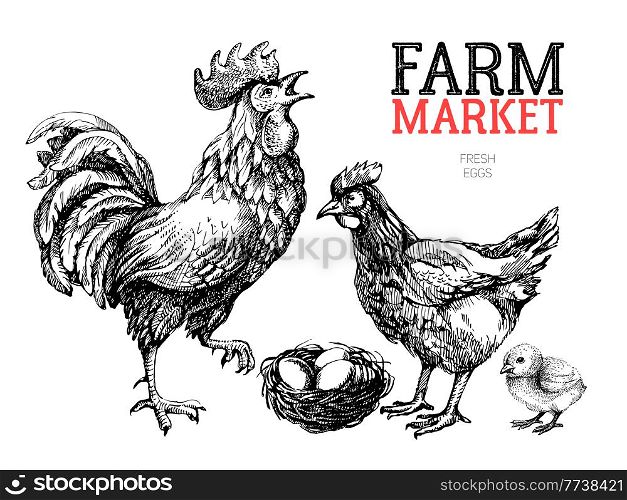 Farm market poster design template. Chicken, rooster and eggs hand drawn sketch vector illustration