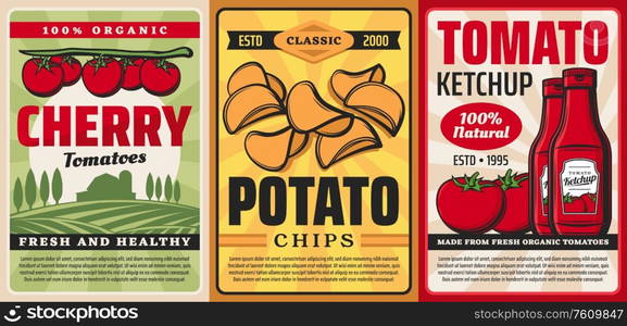 Farm products from tomatoes and potatoes, vector retro posters. Natural organic cherry tomatoes, ketchup and potato chips, bio farmland and agriculture vegetables food. Organic farm cherry tomato ketchup, potato chips