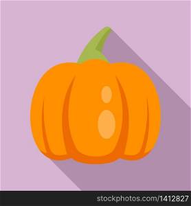 Farm pumpkin icon. Flat illustration of farm pumpkin vector icon for web design. Farm pumpkin icon, flat style