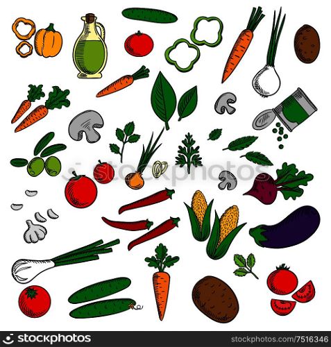 Farm vegetables and herbs sketched tomato and carrot, onion and cucumber, mushroom and potato, corn cob, chili and bell pepper, olives and eggplant, beet and green pea, garlic and olive oil. Farm vegetables and herbs sketches