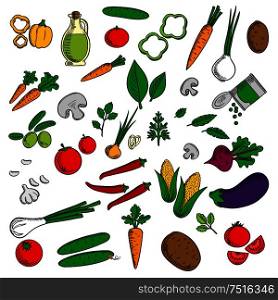Farm vegetables and herbs sketched tomato and carrot, onion and cucumber, mushroom and potato, corn cob, chili and bell pepper, olives and eggplant, beet and green pea, garlic and olive oil. Farm vegetables and herbs sketches