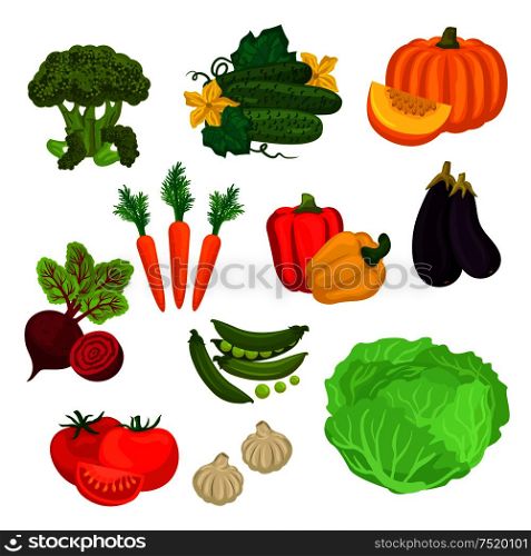 Farm vegetables isolated flat icons. Vegetarian farm vegetable products. Broccoli, cucumber, pumpkin, carrot, beet, pepper, eggplant, green pea, tomato, garlic, cabbage graphic elements for grocery store food market product shop. Farm vegetables isolated flat icons