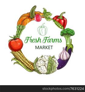 Farm vegetables sketch frame, food market harvest and greenery products, vector veggies. Organic farm vegetables garlic, cauliflower cabbage and corn, pepper, tomato and radish, eggplant and broccoli. Farm vegetables sketch frame, food market harvest