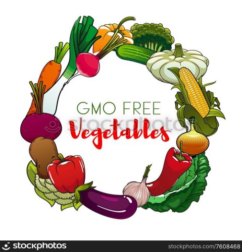 Farm vegetables vector design of GMO free food. Garden bell peppers, carrot and eggplant, cabbage, onion and garlic, radish, broccoli, cauliflower and cucumber, potato, beet, leek and squash frame. Garden vegetables of farm harvest. GMO free food