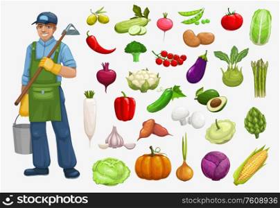 Farmer and organic vegetables harvest vector icons, farming agriculture. Bio agrarian and natural eco farm vegetables tomato, cabbage, and onion, pumpkin, corn and eggplant, cauliflower and broccoli. Farmer harvest vegetables garden agriculture icons