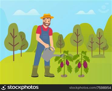 Farmer caring for land and plants vector, plantation of aubergines eggplants. Forest and nature, trees and green hills, farming season, agriculture. Farming Man on Nature, Person with Watering Can