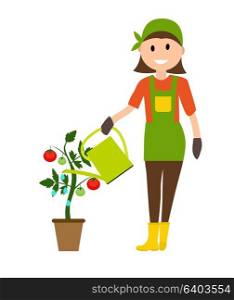 Farmer Gardener Woman with Watering Can and Tomato Plant in Modern Flat Style Vector Illustration EPS10. Farmer Gardener Woman with Watering Can and Tomato Plant in Mode