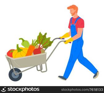 Farmer going with vegetables in cart, harvesting tomato, pumpkin and carrot, beet and potato, bell pepper. Agricultural worker with fresh products vector. Agricultural Worker with Vegetables in Cart Vector