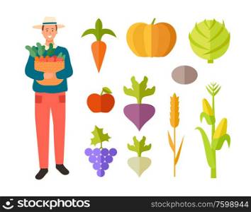 Farmer holding basket of veggies vector, isolated person with carrots and pumpkin, cabbage and grapes, tomato and wheat crop, radish and beetroot. Farming Man with Basket of Fruits, Vegetables
