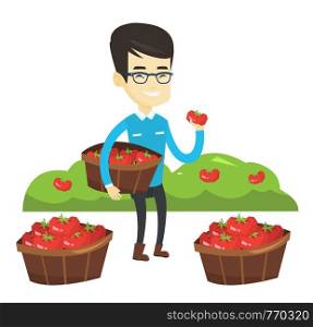 Farmer holding basket with tomatoes. Farmer showing tomato on the background of field with bushes of tomatoes. Farmer collecting tomatos. Vector flat design illustration isolated on white background.. Farmer collecting tomatos vector illustration.