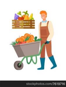 Farmer on harvesting season vector, person with pumpkins loaded on carriage isolated person wearing apron. Box with grapes and tomato, pear and corn. Man Harvesting Transporting Pumpkins on Carriage