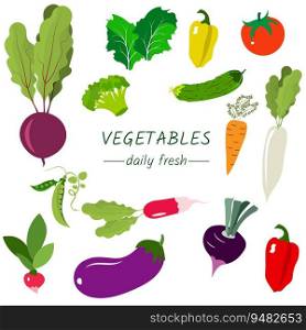 Farmer’s market poster. Vegetables and the inscription daily fresh. Farmers market poster collection. Vector banner templates for local food fair. Fresh organic produce from the local farmers’ market. Vector illustration..  Farmer’s market poster. Vegetables and the inscription daily fresh. Farmers market poster collection. Vector banner templates for local food fair.