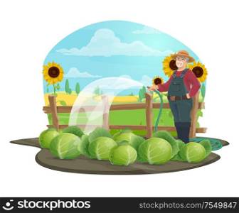 Farmer watering cabbage vegetables with watering hose vector design of agriculture and farming. Gardener working in farm garden with hat, boots and overalls, fields with crop plants and sunflowers. Farmer with watering hose and vegetables on farm