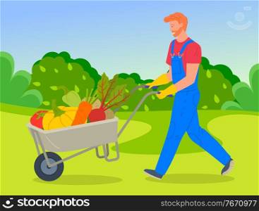 Farmer wearing in overalls pushing a wheelbarrow full of vegetables. Agricultural worker, autumn harvest. Man going with vegetables in cart, harvesting tomato, pumpkin, carrot, beet, potato, pepper. Farmer wearing in overalls pushing a wheelbarrow full of vegetables. Agriculture, autumn harvest