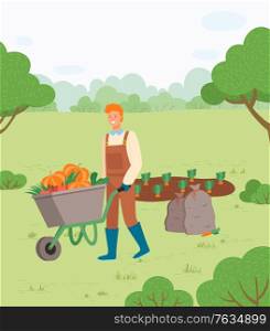 Farmer with harvest in metal wheelbarrow. Man with cart of fresh ripe vegetables such as carrot, pumpkin, tomatoes, grown on garden bed. Vector illustration in flat cartoon style. Farmer Man with Autumn Harvest in Cart Vector